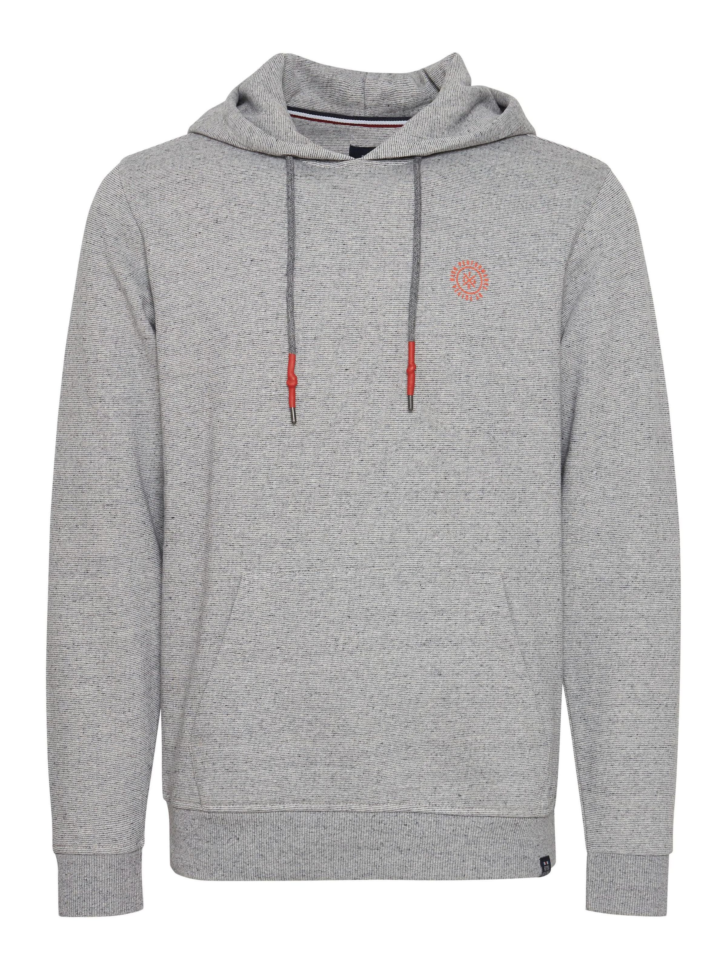 FQ1924 Sweatshirt' 'THEO ' in Grau: Vorderseite