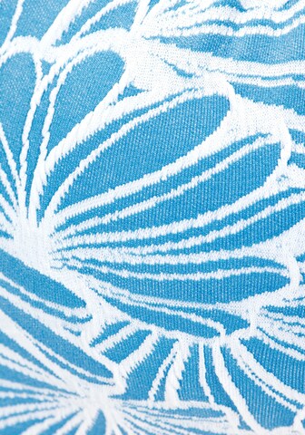 VENICE BEACH Bikinitop in Blauw