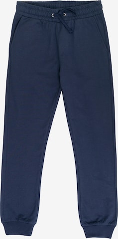 BIG STAR Tapered Pants 'Arroya' in Blue: front
