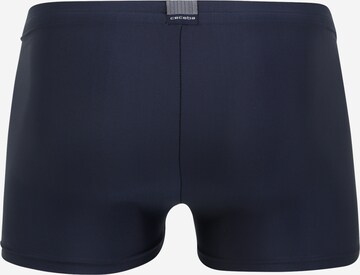 CECEBA Swim Trunks in Blue