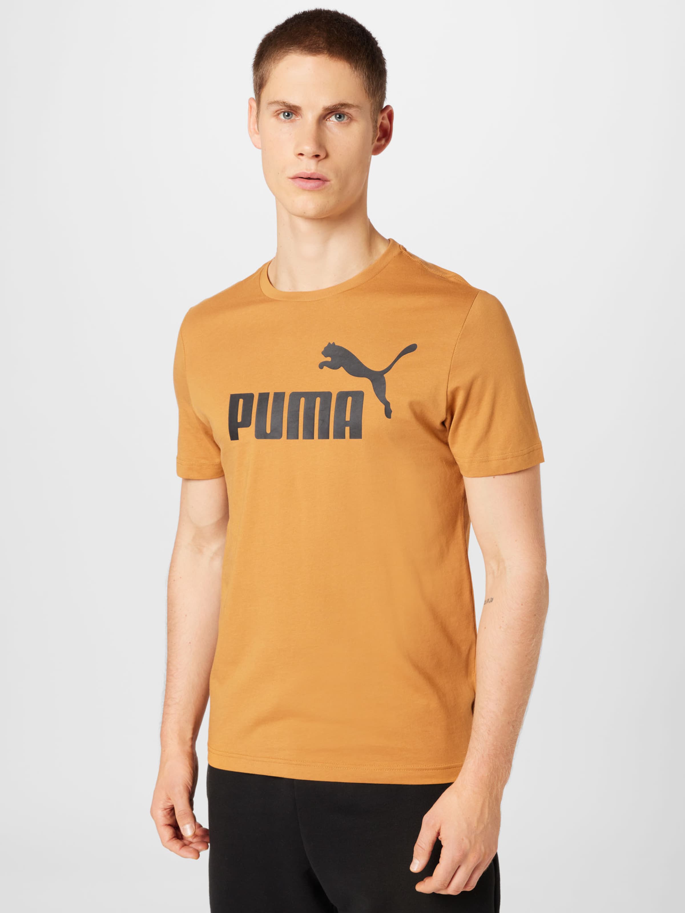 puma chaussure femme r698