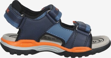 Chaussures ouvertes GEOX en bleu