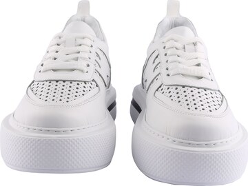 D.MoRo Shoes Sneakers in White