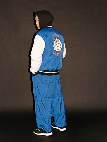 ADIDAS SPORTSWEAR Between-season jacket 'VARISTY' in Blue