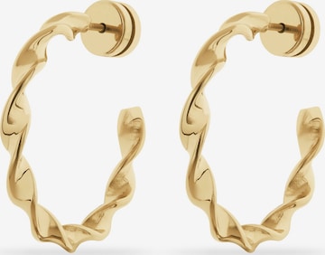 FAVS Earrings in Gold: front