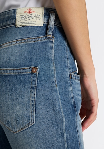 Herrlicher Regular Jeans in Blau