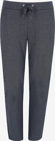 HAJO Pants in Grey: front