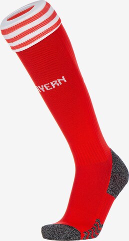 ADIDAS PERFORMANCE Soccer Socks 'FC Bayern M�ünchen 23/24' in Red: front