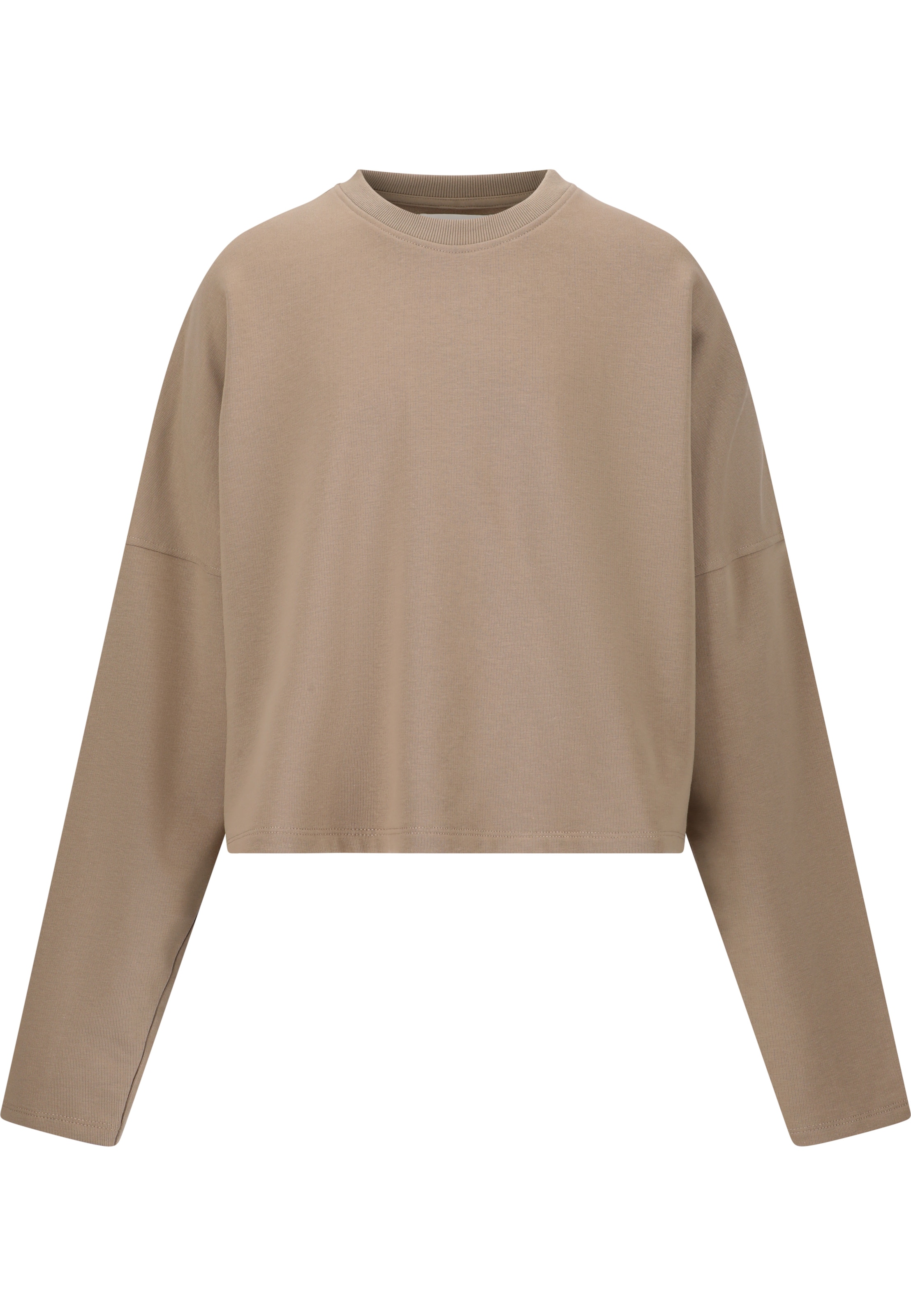 Les'Arcs Sweatshirt 'Clairen' in Brown: front