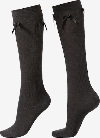 CALZEDONIA Knee High Socks in Grey: front