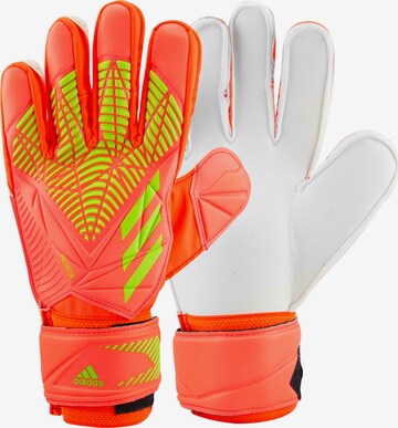 Gants de sport 'Predator Edge Match Goalkeeper' ADIDAS SPORTSWEAR en orange