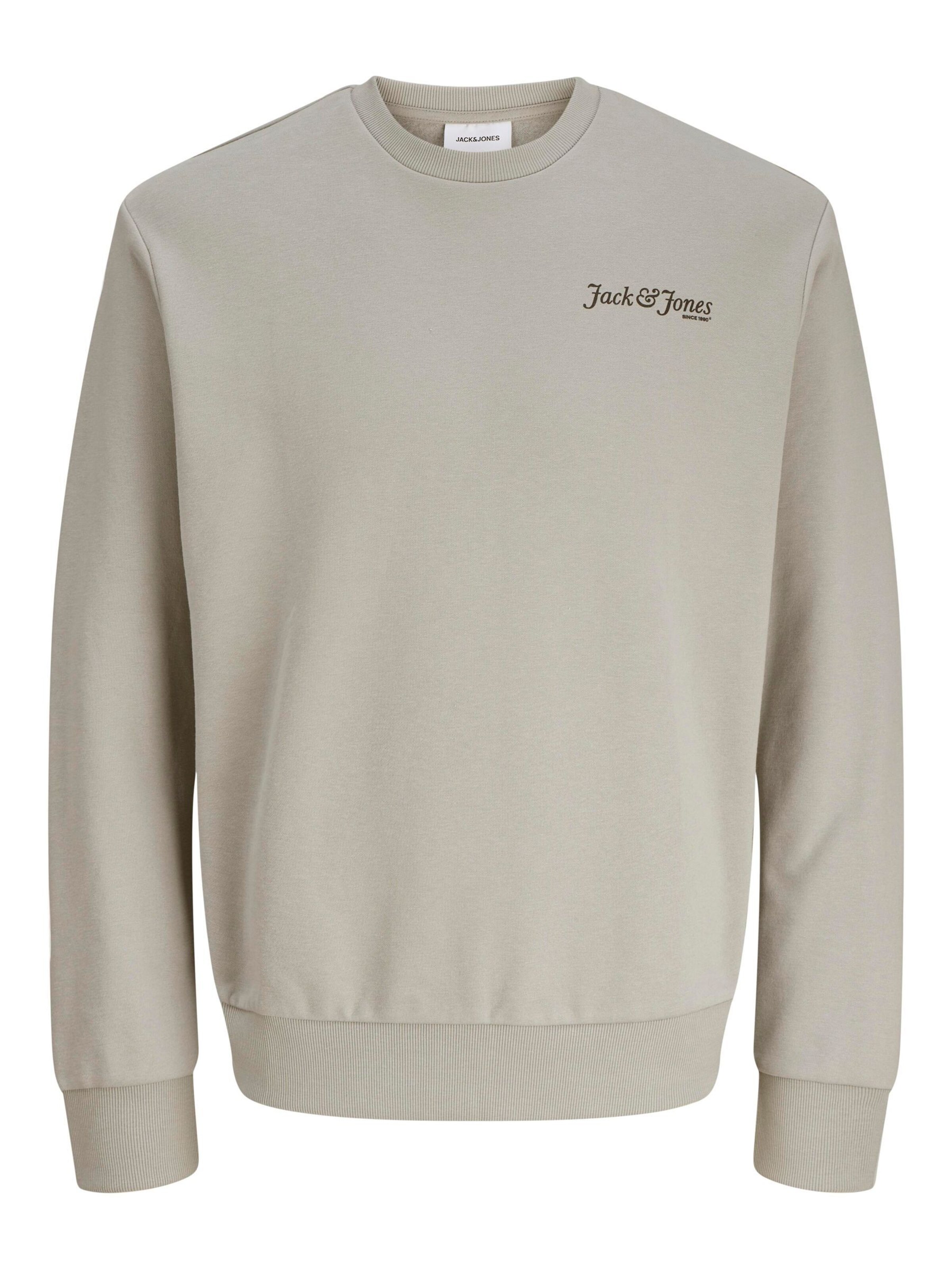 Jack & Jones Plus Sweatshirt in Grijs: voorkant