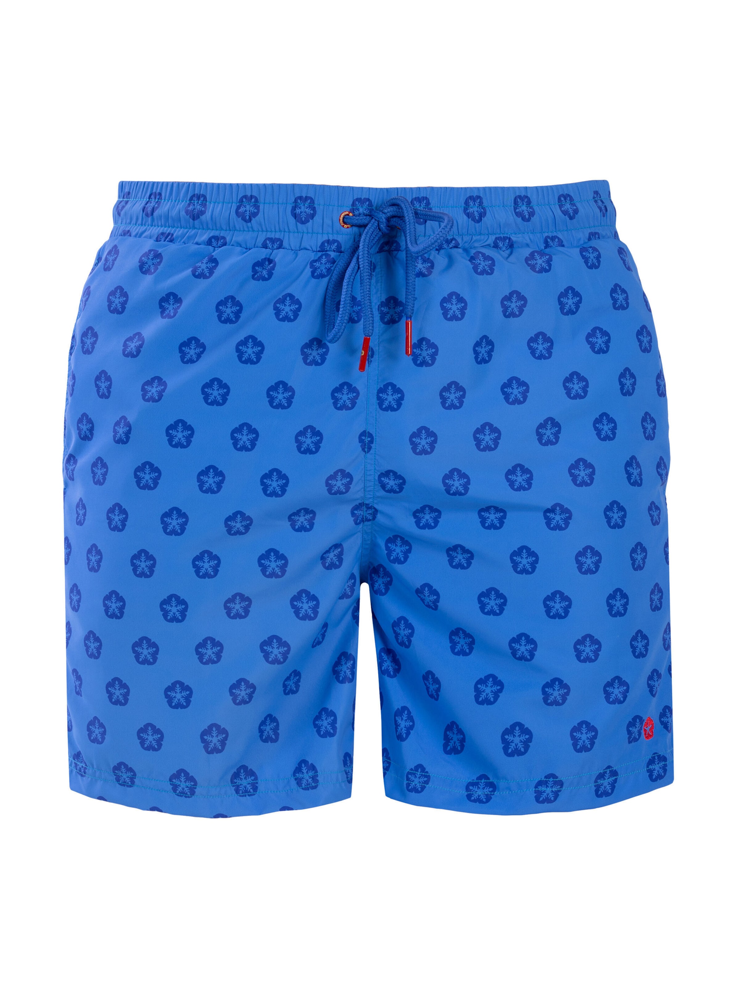 Frozen Cape Boardshorts in Blauw: voorkant