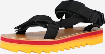 Superdry Strap Sandals in Black: front