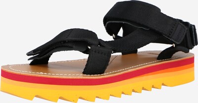 Sandalo con cinturino Superdry di colore nero, Visualizzazione prodotti
