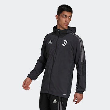 ADIDAS SPORTSWEAR Sportjacke 'Juventus Turin' in Grau: predná strana