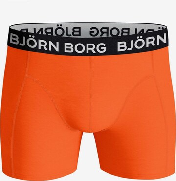 BJÖRN BORG Athletic Underwear in Mixed colors