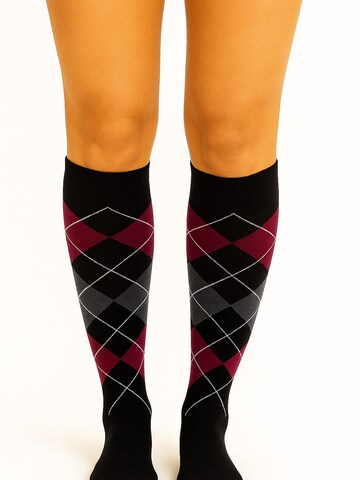 Lycille Knee High Socks in Black