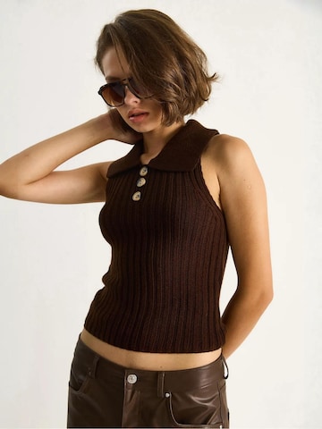 Bianco Lucci Sweater in Brown
