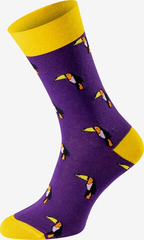 Chili Lifestyle Socks 'Banderole Tucan' in Yellow: front