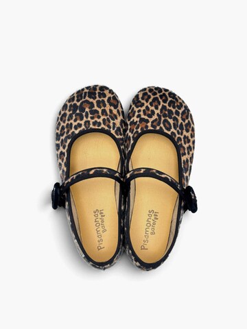 Pisamonas Ballerina in Bruin