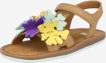 CAMPER Sandal 'Bicho' i brun: framsida