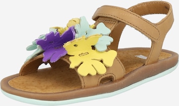 CAMPER Sandal 'Bicho' i brun: framsida