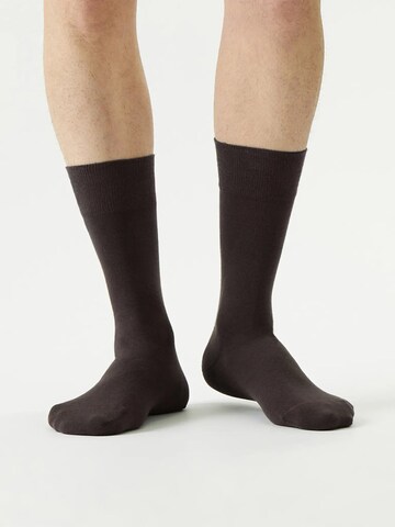 Von Jungfeld Socks 'Herbstfarben' in Brown