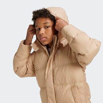 ADIDAS ORIGINALS Winter jacket 'Adicolor' in Beige