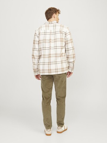 JACK & JONES Regular Chino in Groen