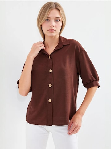 Bigdart Blouse in Brown