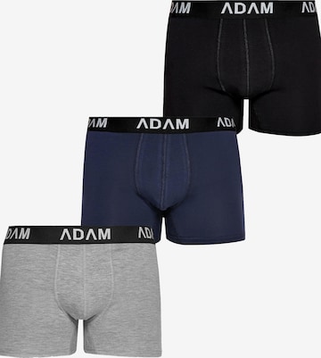 Adam Boxer shorts '3er Pack' in Mixed colors: front