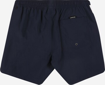 QUIKSILVER Badeshorts in Blau