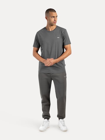 Smilodox Shirt in Grijs