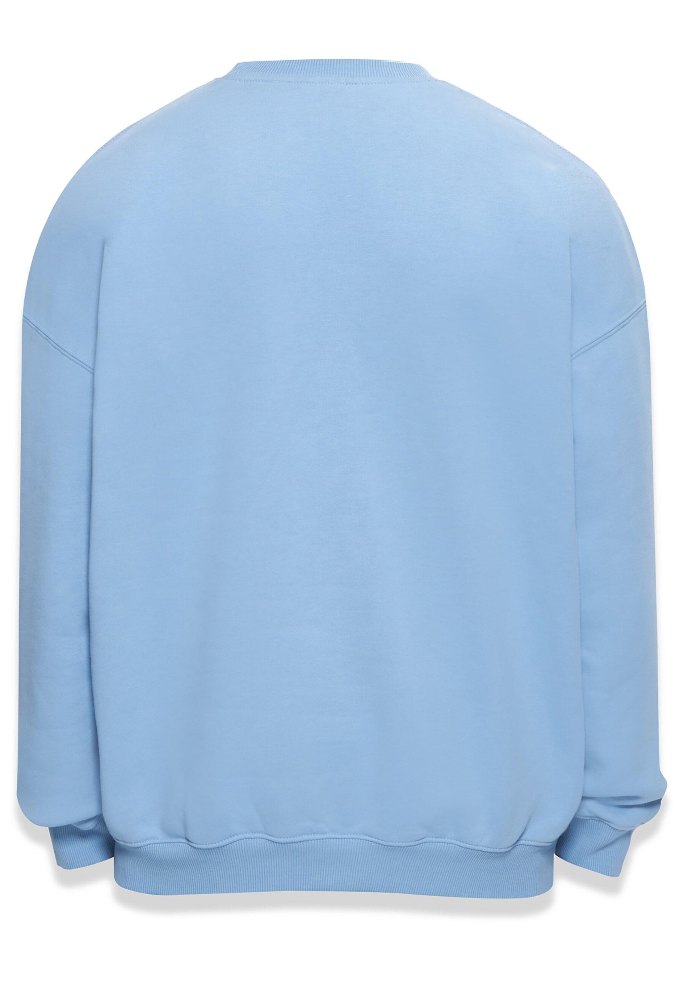 Felpa 'Bazix Republiq' di Dropsize in blu