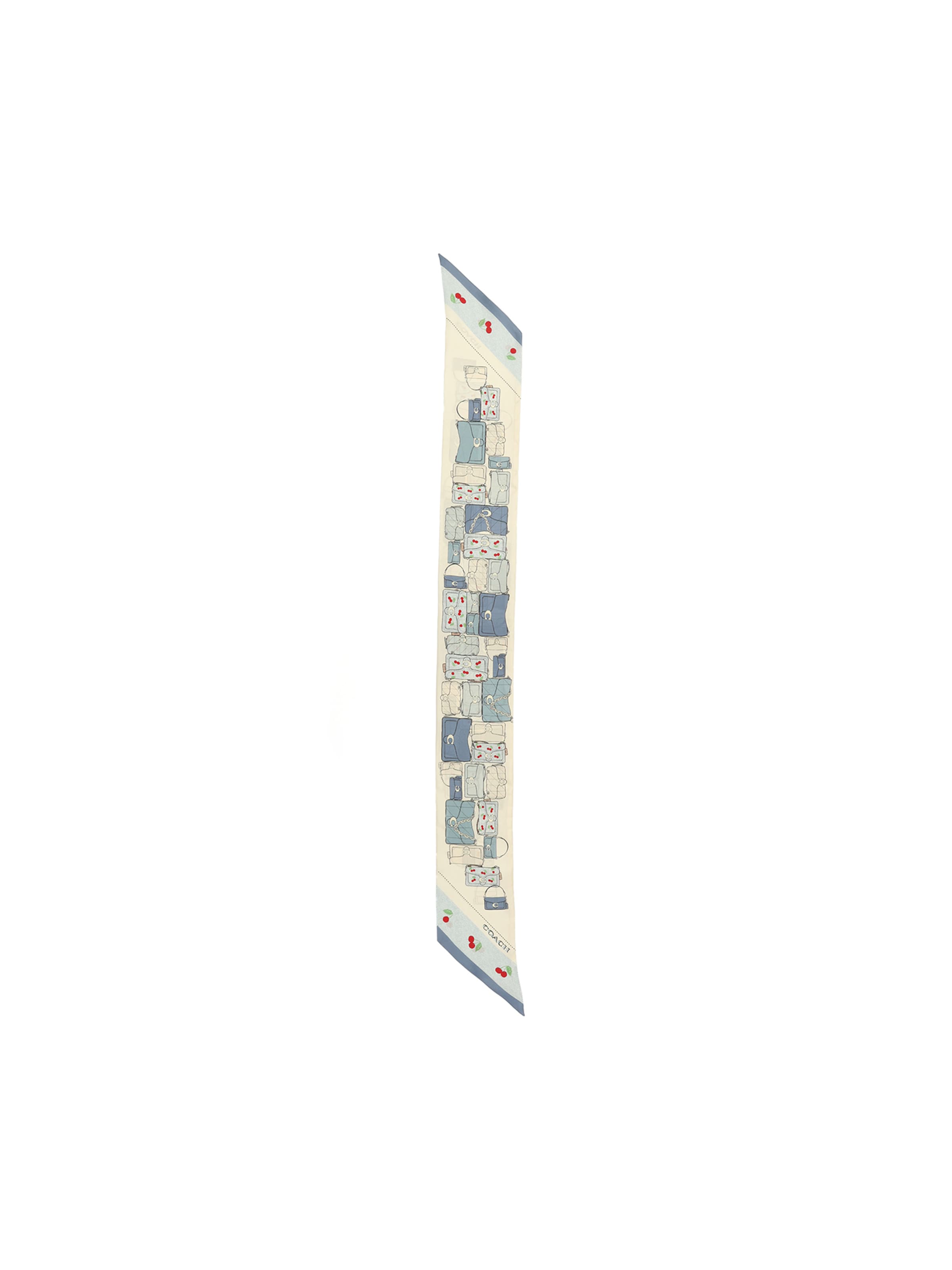 COACH Shawl in Blue