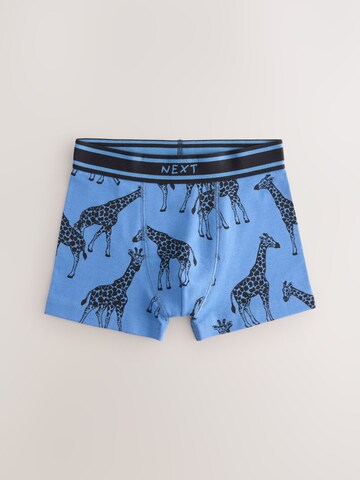 Next Onderbroek in Gemengde kleuren