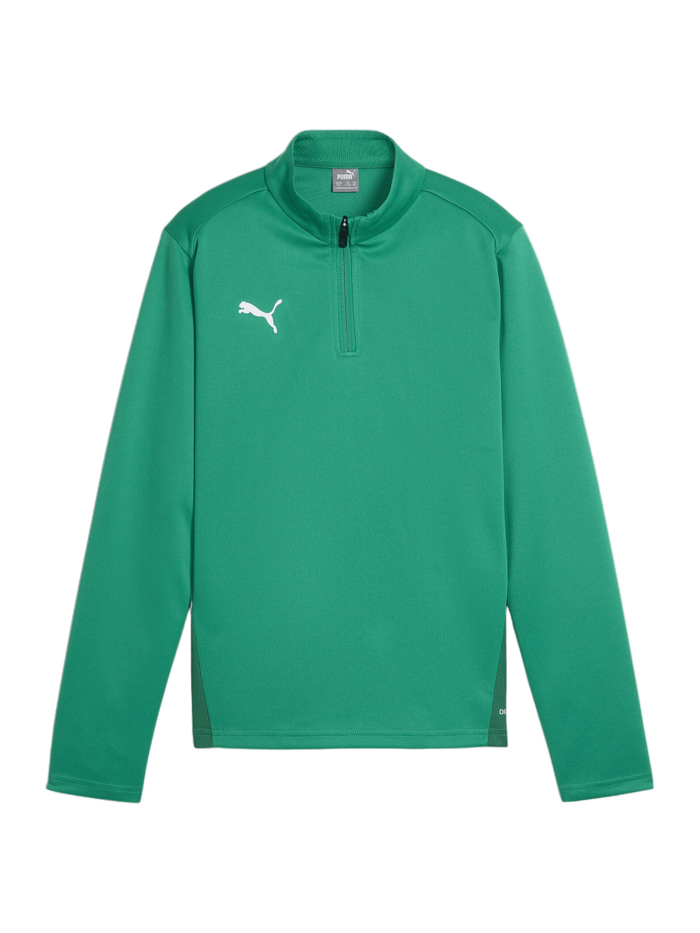 PUMA Funktionsshirt 'TeamGoal' in Grün: Vorderseite