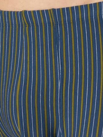 SCHIESSER Boxershorts '95/5 Essentials - Organic Cotton' in Blauw