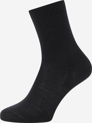 FALKE Ponožky 'Softmerino' - Modrá: predná strana