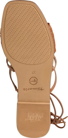 TAMARIS Strap Sandals in Brown