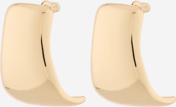 STEVE MADDEN Korvakoru värissä kulta: etupuoli