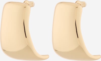 STEVE MADDEN Korvakoru värissä kulta, Tuotenäkymä