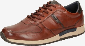 SIOUX Sneaker 'Rojaro-700' in Braun: predná strana