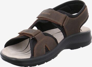 JOMOS Hiking Sandals in Brown: front