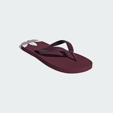 Tongs 'Adi Sun' ADIDAS ORIGINALS en rouge