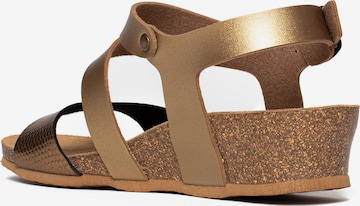 Bayton Sandalen met riem 'Reus' in Goud