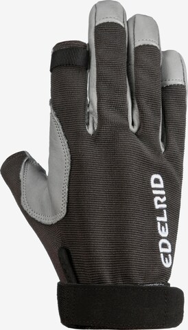 Edelrid Athletic Gloves 'Work Glove Closed II' in Grey: front