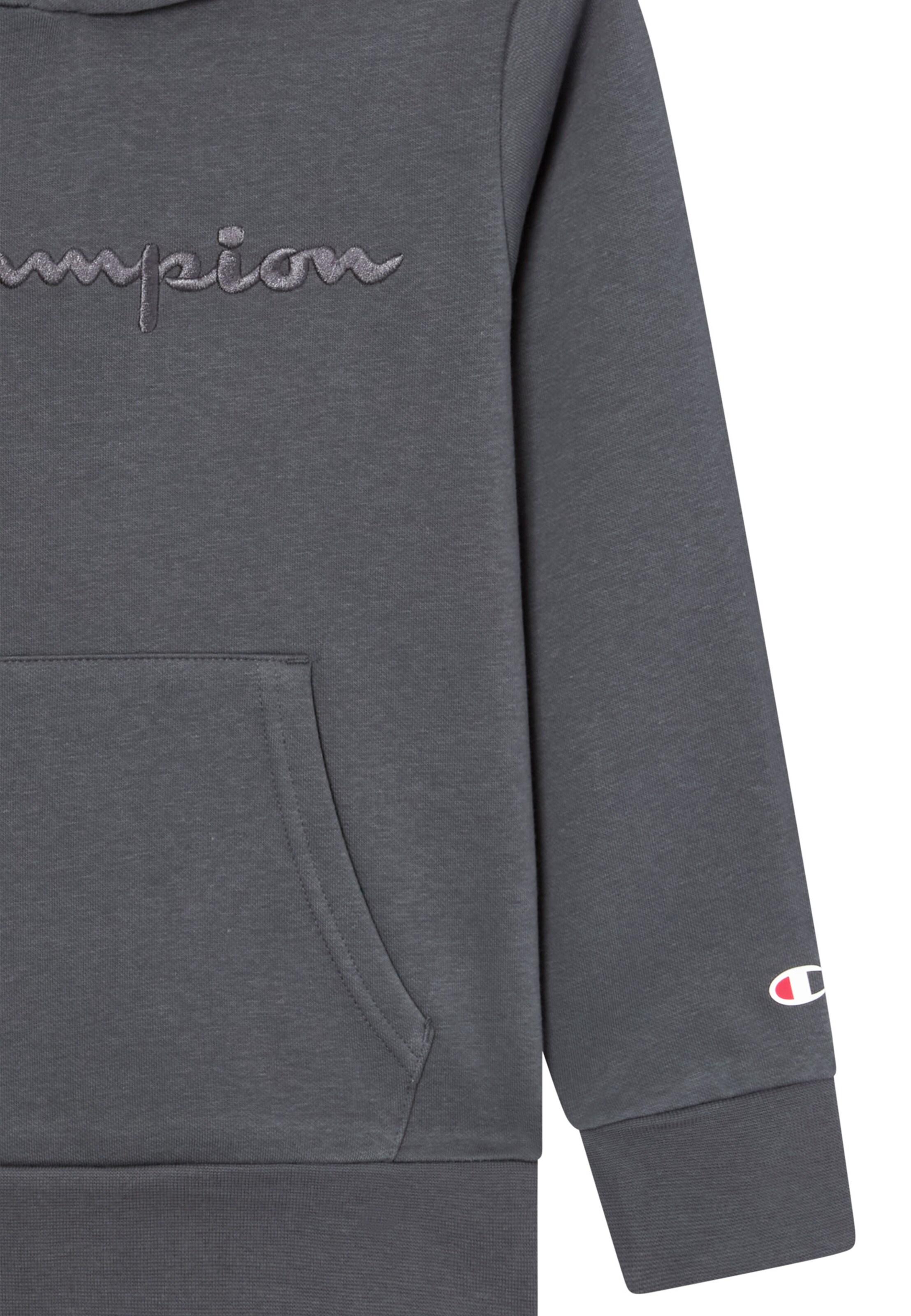 Champion Authentic Athletic Apparel Sweatshirt in Grey
