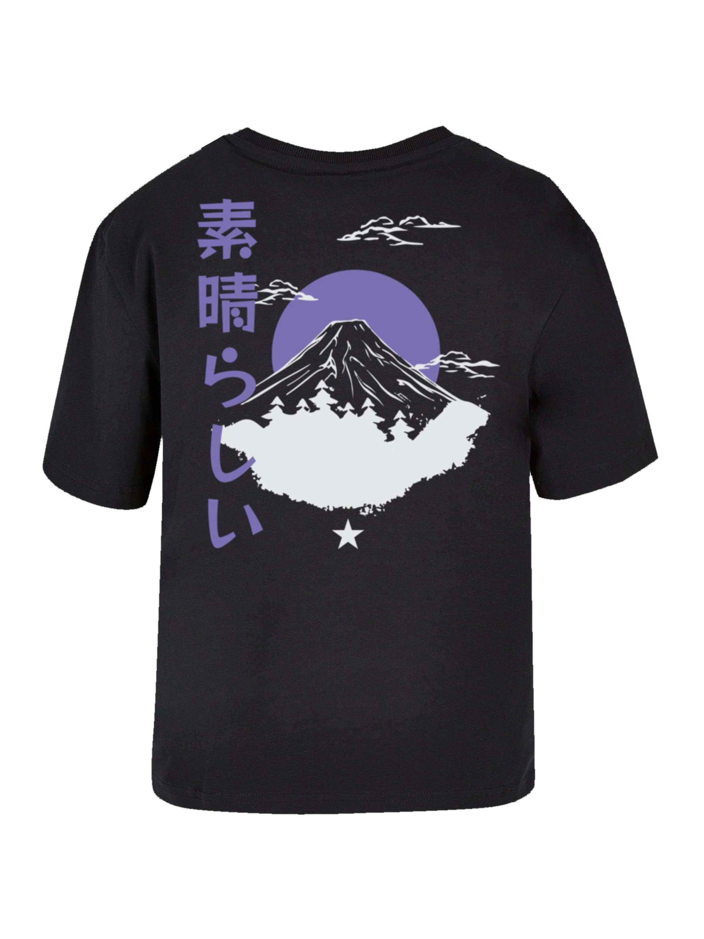 T-shirt 'Mount Fuji' F4NT4STIC en noir : devant